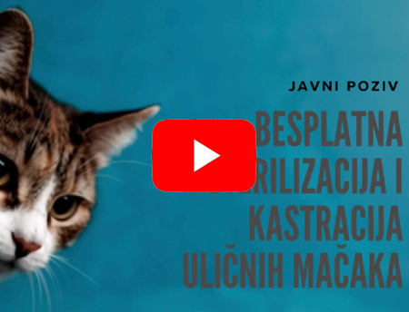 kastracija macaka2